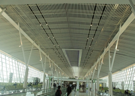 जंग प्रूफिंग एयरपोर्ट या रेलवे स्टेशन के लिए वाणिज्यिक एल्यूमीनियम बाफल छत निलंबित
